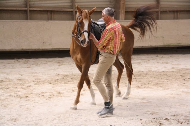 Juin 2010